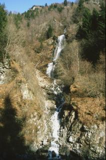 cascata