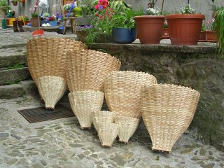 stavoli