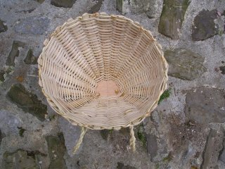 stavoli