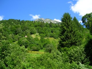 stavoli