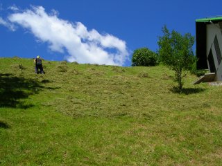 stavoli