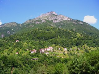 stavoli