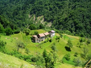 stavoli