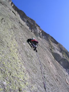 orco