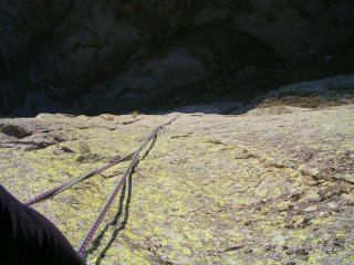 orco